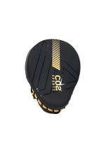 Titan Focus Mitt for Boxing