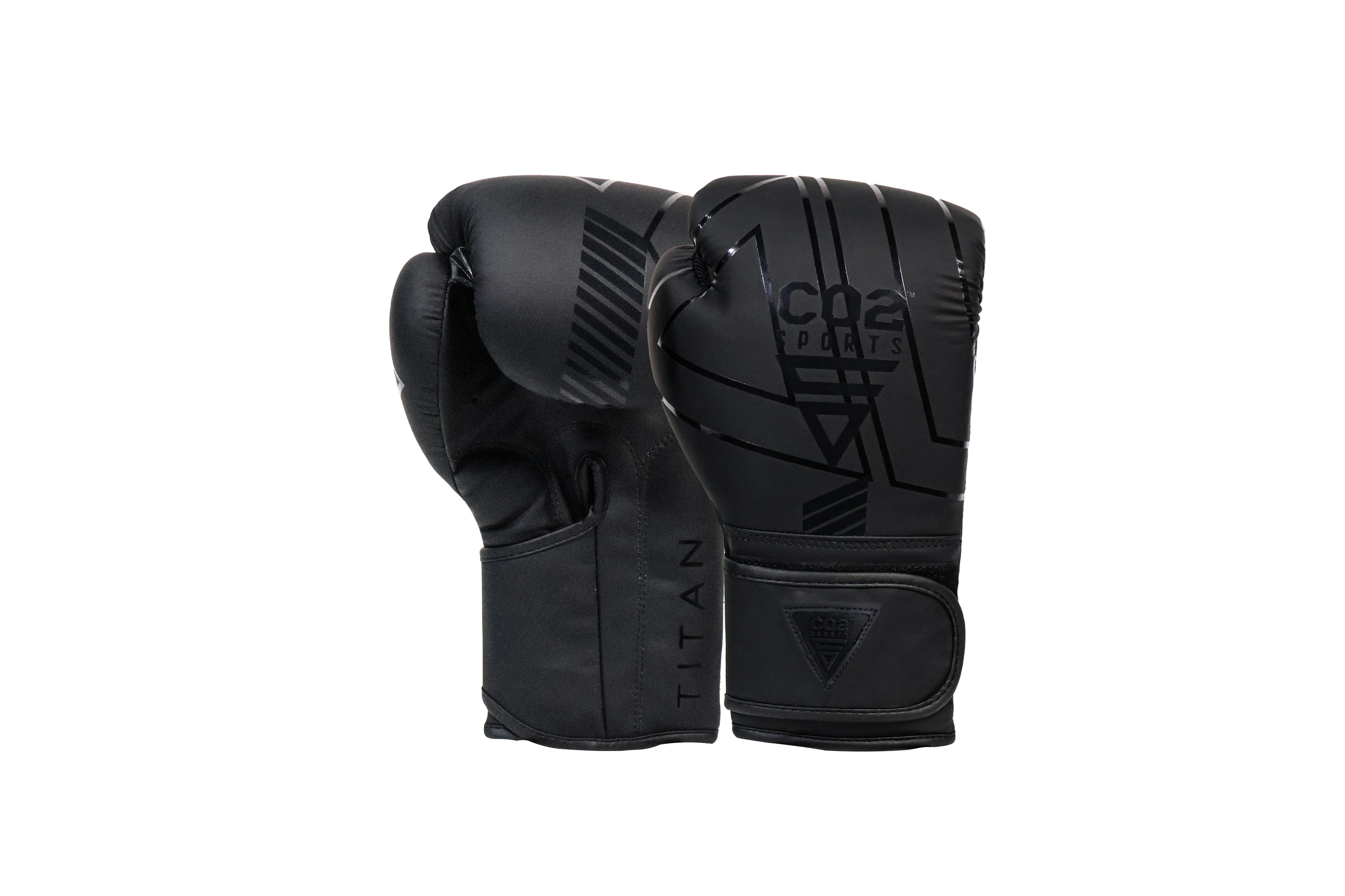 Pair of black boxing gloves with brand logo on a white background